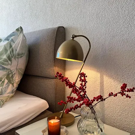 New Renovated In Center Of * Davos