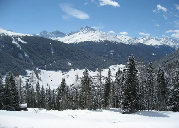 New Renovated In Center Of Davos