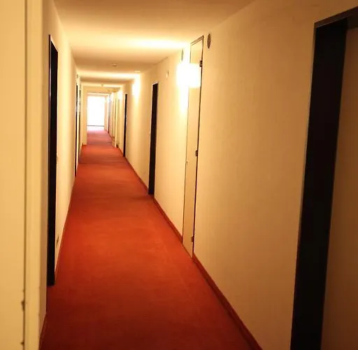 Apartment New Renovated In Center Of *